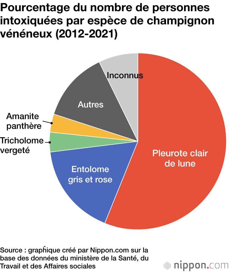 Combien de gens sont morts intoxiqués par les champignons vénéneux ces dix dernières années au Japon ?