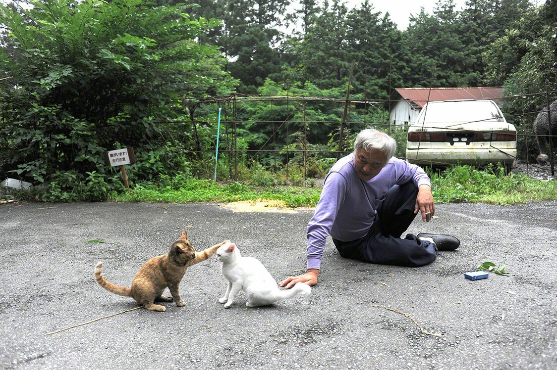Matsumura watches Sabi and Shiro playing.