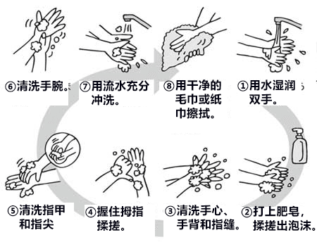 洗手的正确方式