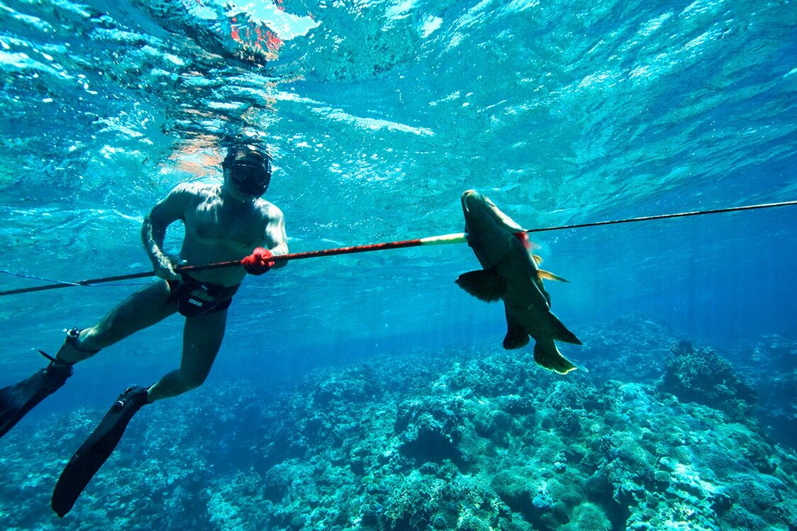 長イーグンでヒロサー（メガネモチノウオ）を突く。用心深く、近寄るのが難しい魚。沖縄の重要な漁業対象種