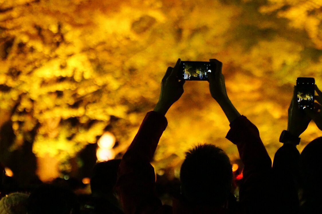 Aucun photographie ne peut surpasser une réelle expérience de la promenade..