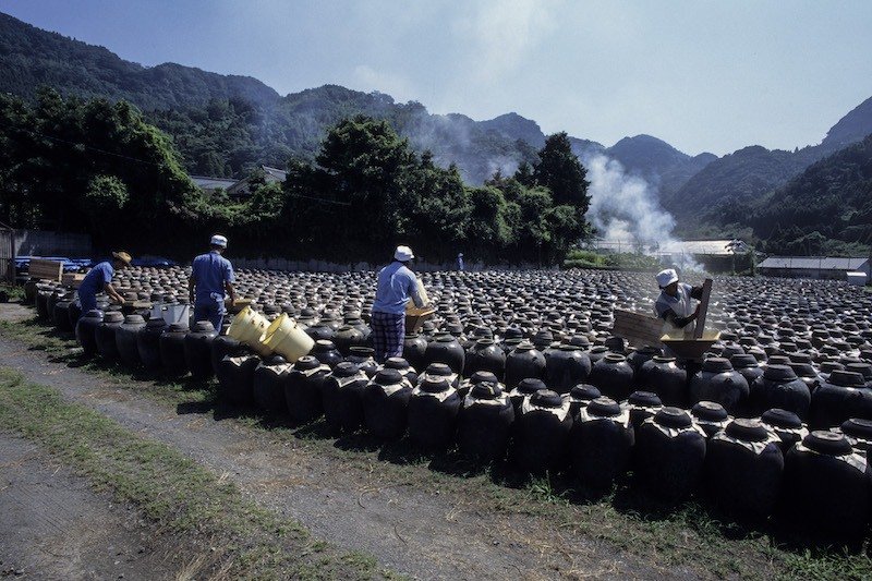 鹿児島県福山町の壺畑にうずくまる黒褐色の壺。人の手で仕込んだら、後は自然にお任せだ　©大橋 弘