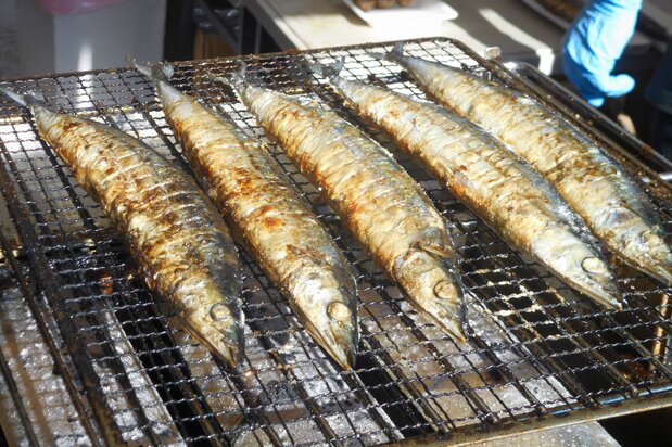 日漸遠離餐桌的鹽烤秋刀魚(筆者攝影)