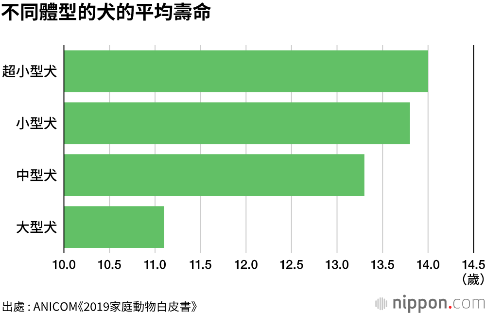 日本人最愛犬隻 貴賓狗人氣11連霸