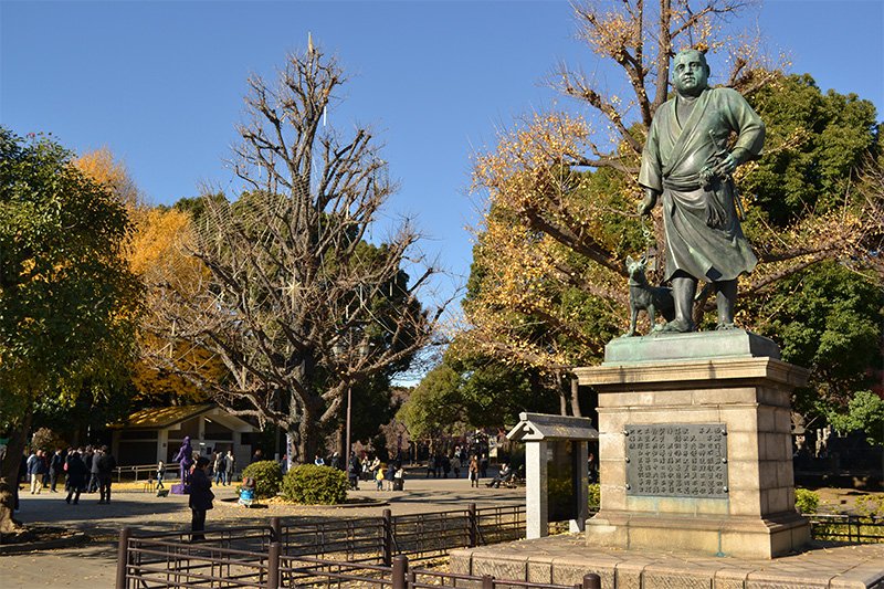 Five Tokyo Centers