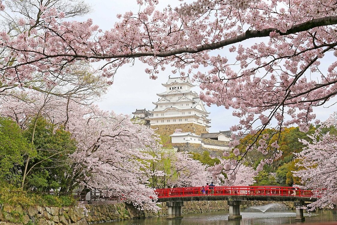 写真提供 : 姫路市