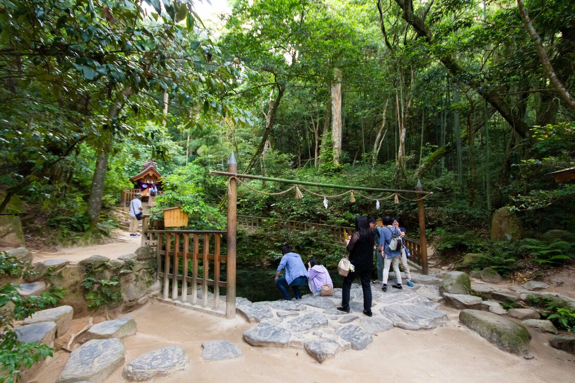 青葱草木环抱中的镜池。其背后远景是天镜神社