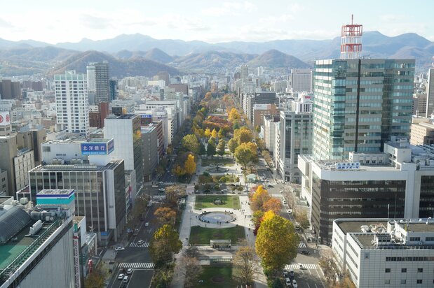 色づく大通公園（撮影 : 前田明裕）