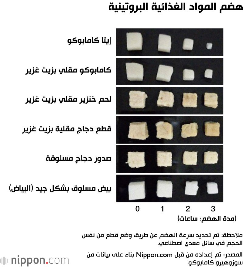 هضم المواد الغذائية البروتينية