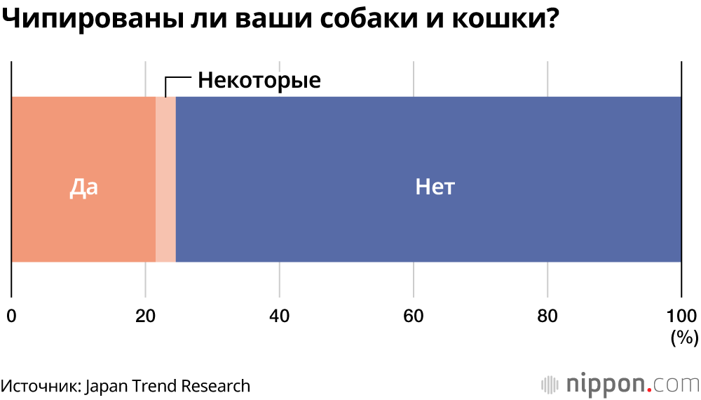С июня в Японии сделают обязательным чипирование собак и кошек при продаже в зоомагазинах: больше половины опрошенных против  