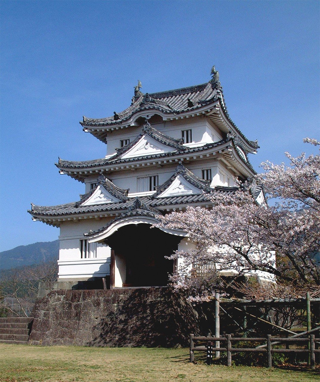 写真提供 : 愛媛県観光物産協会