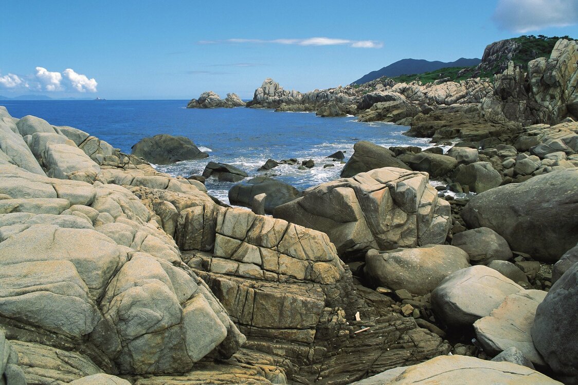 德之島Mushiro瀨的壯美景觀。海岸附近叢生著用作「大島紬」（奄美群島一種傳統紡織品——譯注）染料的薔薇科灌木車輪梅（K.P.V.B）
