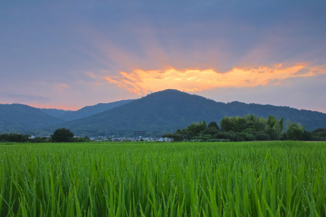 三轮山（图片：PIXTA）