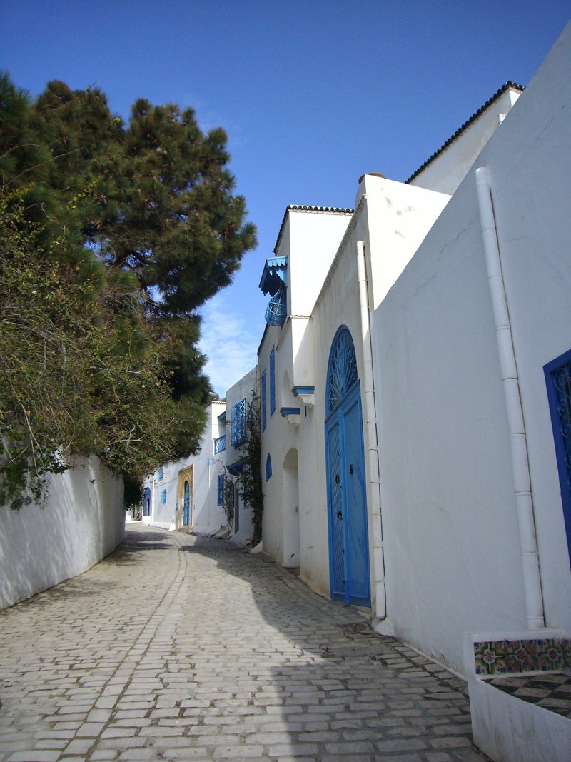 Sidi Bou Saïd, situé à environ 20 km au nord-est de la capitale Tunis. La beauté des paysages attire de nombreux visiteurs étrangers.
