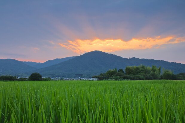 Mount Miwa was the most sacred mountain (shintaisan) in the ancient province of Yamato. (© Pixta)