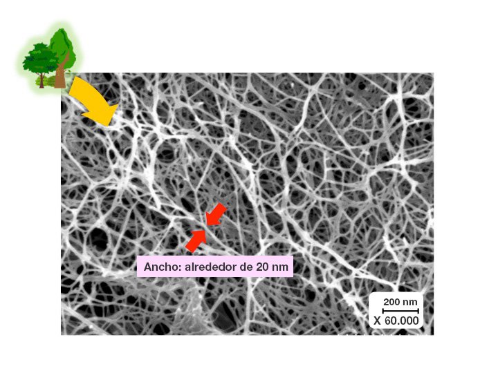 Fotografía microscópica de las nanofibras de la celulosa (cortesía de Nanocelulose Forum)