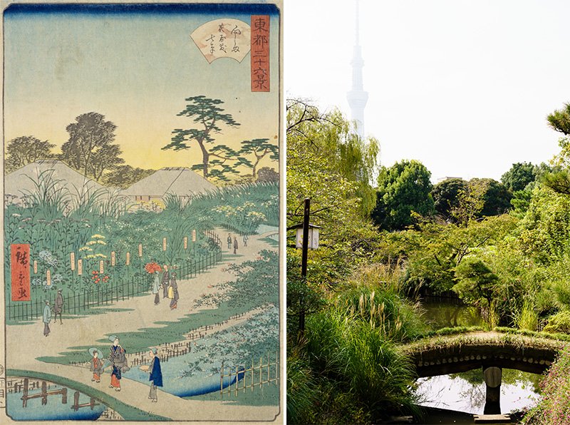 歌川広重二代（1826-1869）による「向しま花屋敷七草」（東都三十六景より）。園内奥にある池からは、土橋とスカイツリーのコラボレーションも楽しめる（右）