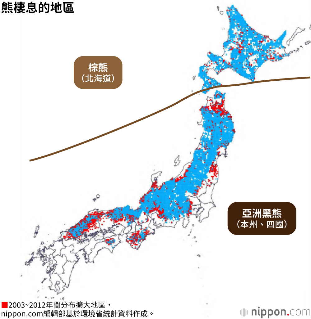 熊出沒注意！ 日本2019年捕捉數量超過6000頭