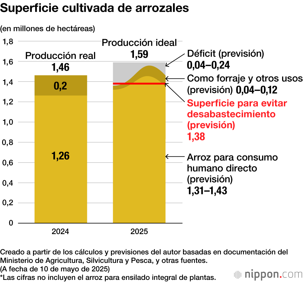 Superficie cultivada de arrozales