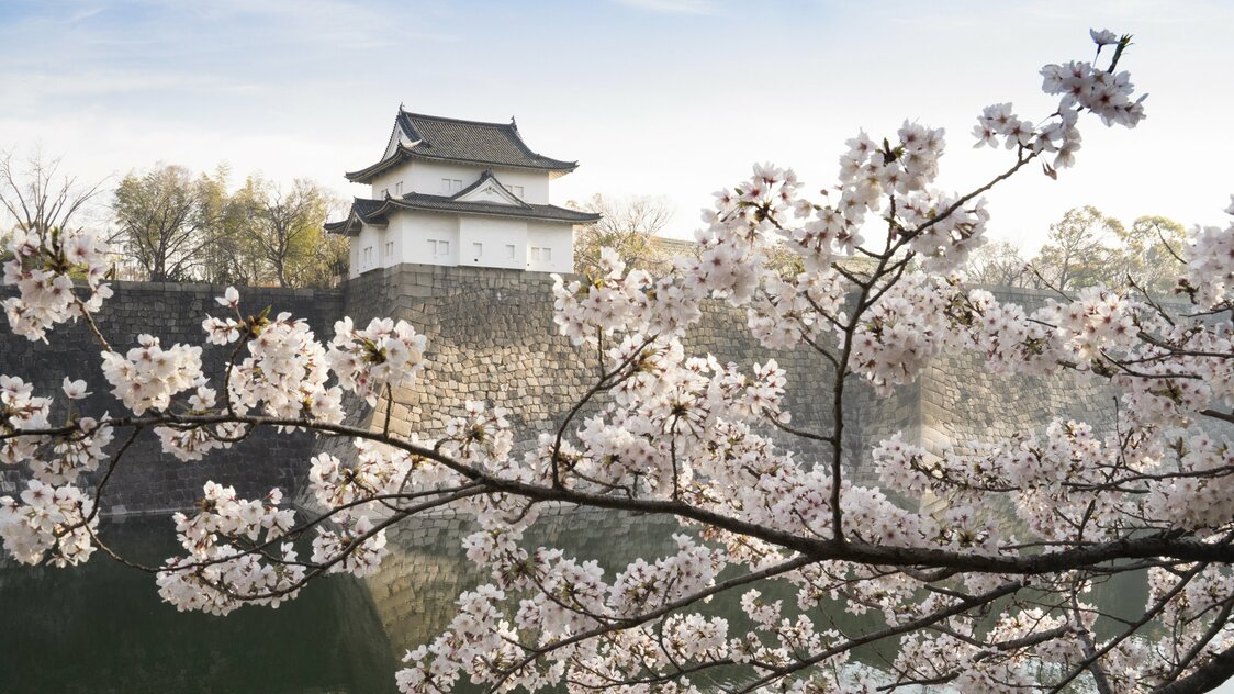 望楼、石墙和护城河的水面，与染井吉野樱花共同交织出一幅富有情趣的景象