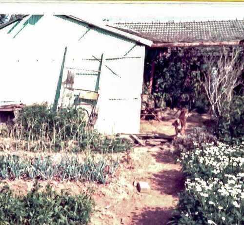 東海花園の農舎、1973年3月(筆者撮影)