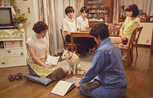 父の浮気を問い詰める母に加勢し、卒業アルバムをのぞき込むサクラ ©西加奈子/小学館 ©2020 「さくら」製作委員会