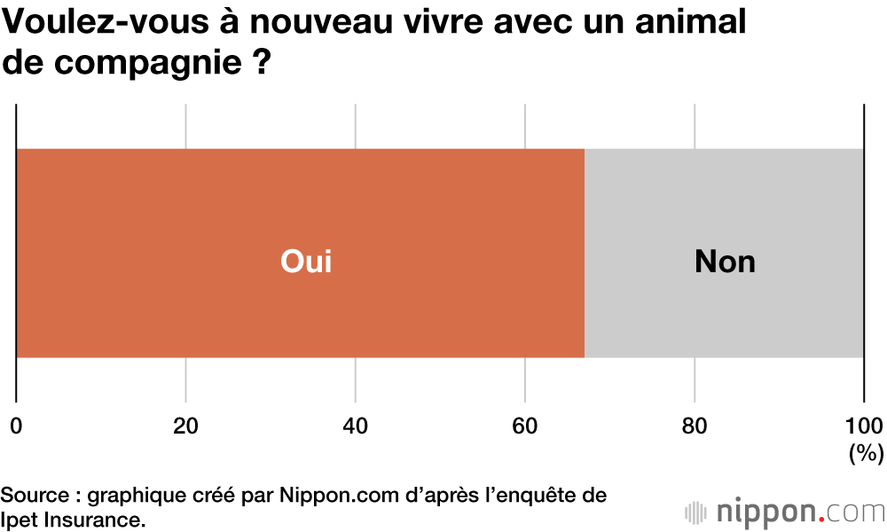 Voulez-vous à nouveau vivre avec un animal de compagnie ?