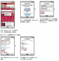 震度6弱以上の地震など大きな災害が発生したときに、伝言板で被災地にいる登録者の安否を確認できる災害時専用サービス。(画像提供=NTT DoCoMo)