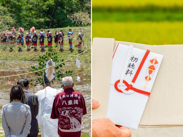 日本では古来、田植え前には神様に豊作を願い、収穫期には初穂を供えて感謝してきた。神社に納める祈祷料を「初穂料」と呼ぶのは、その名残（PIXTA）