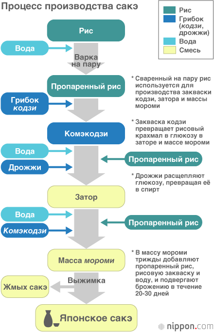 Грибок кодзи и раритетное сакэ «Дзикон»