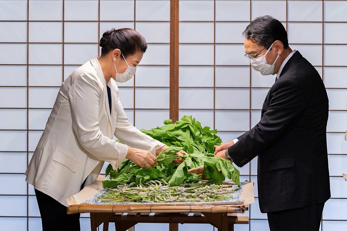 给蚕宝宝喂食桑叶的雅子皇后（图片：宫内厅）