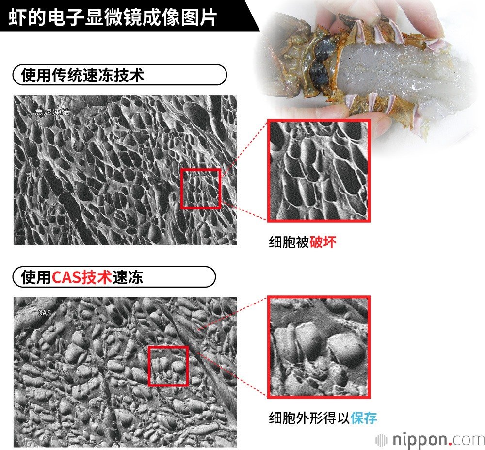 冷冻技术革新专家大和田哲男：用“味道时光机”拯救地球！？