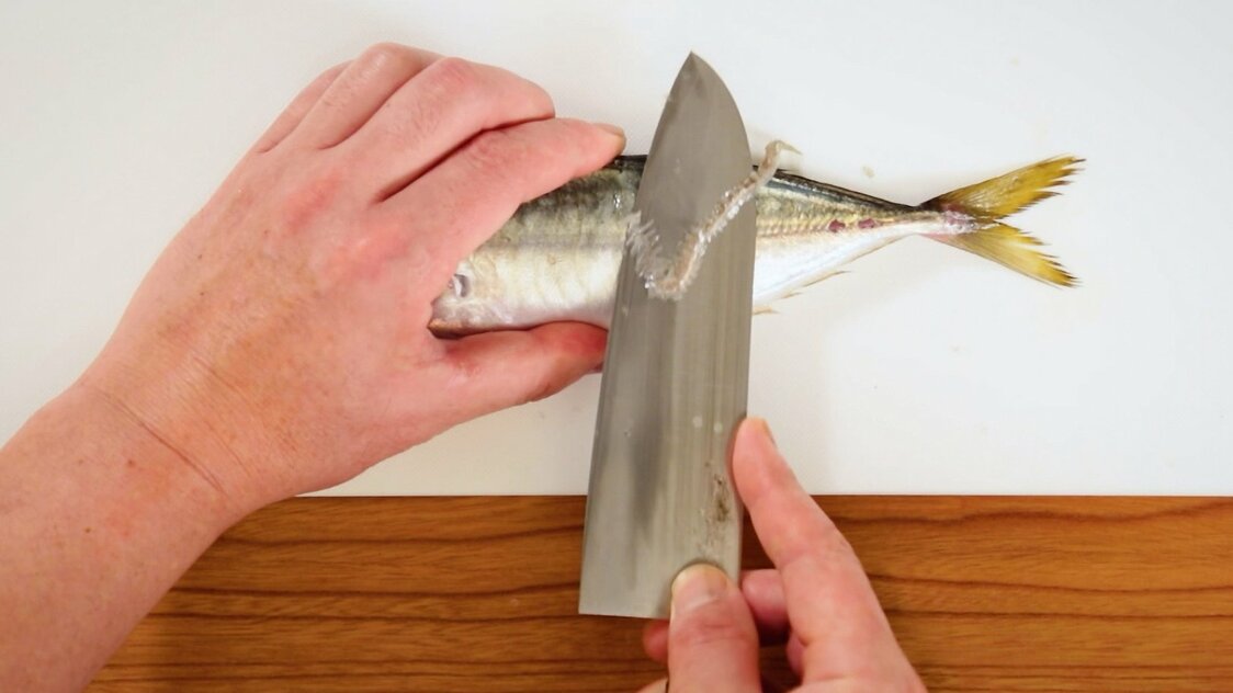 Japanese Seafood Culture: How to Fillet a Horse Mackerel