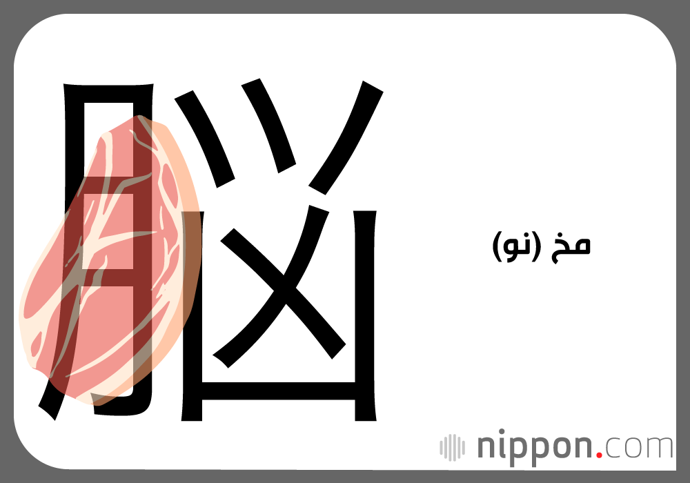 من الضوء إلى الجسد: ماذا يخبرنا كانجي القمر (月) عن أعضائنا الداخلية؟