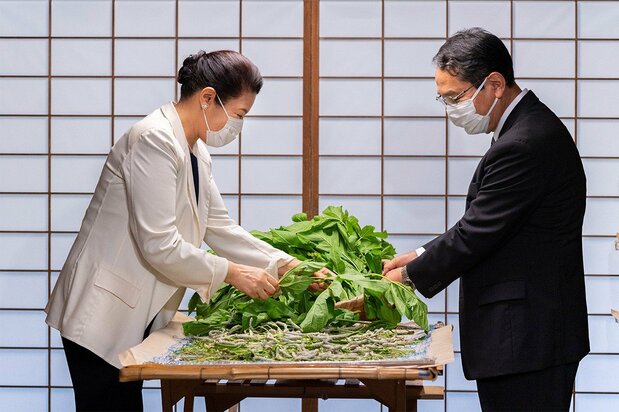 给蚕宝宝喂食桑叶的雅子皇后（图片：宫内厅）