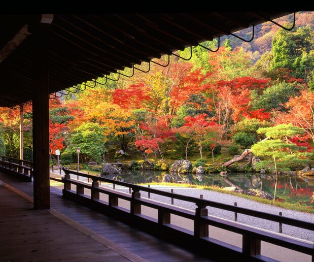 从大方丈欣赏秋景