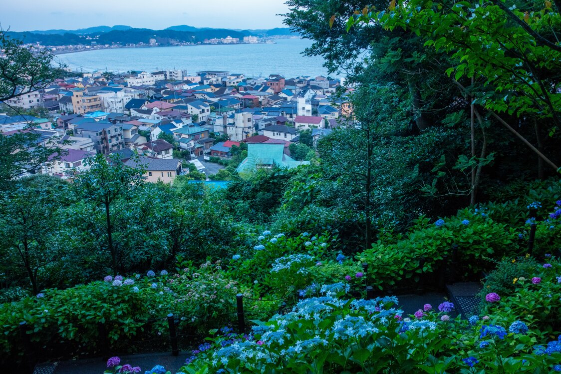 长谷寺的山号为“海光山”。登上200级石阶，无愧于“海光山”之名的壮丽景色尽收眼底