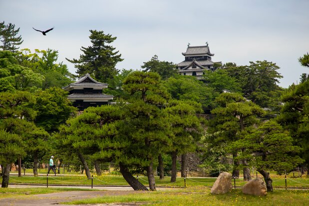 Torreón y atalaya sur del castillo de Matsue vistos desde el edificio del Gobierno de Shimane.