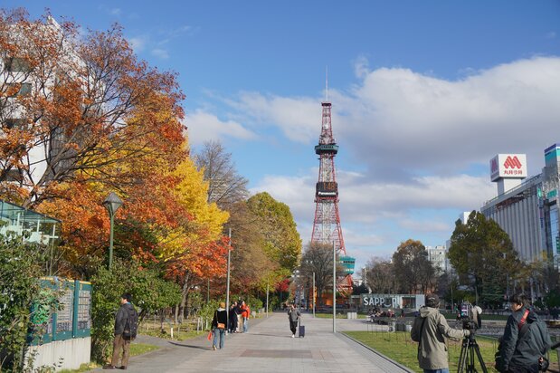 大通公園からさっぽろテレビ塔を望む