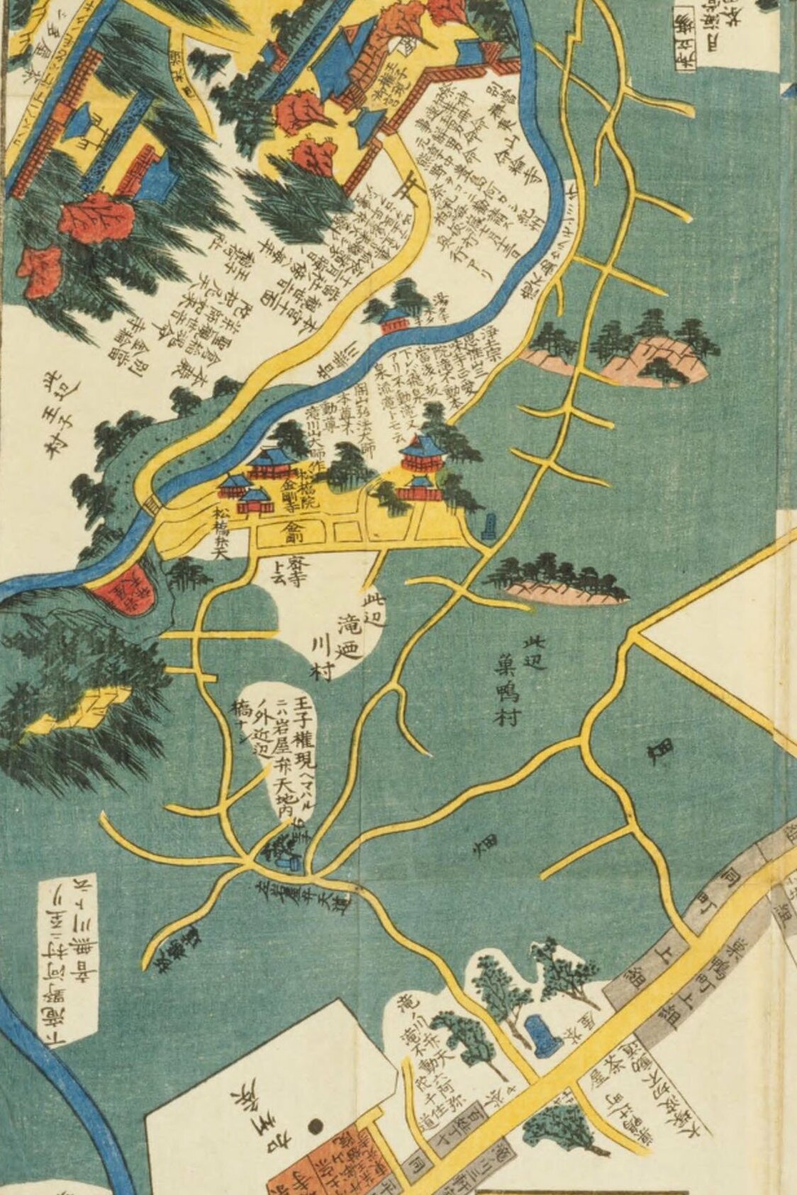 「尾張屋版 嘉永7年 染井王子巣鴨辺絵図」（国会図書館蔵）の金剛寺周辺を拡大したもの