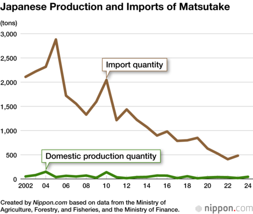 Japanese Production and Imports of Matsutake