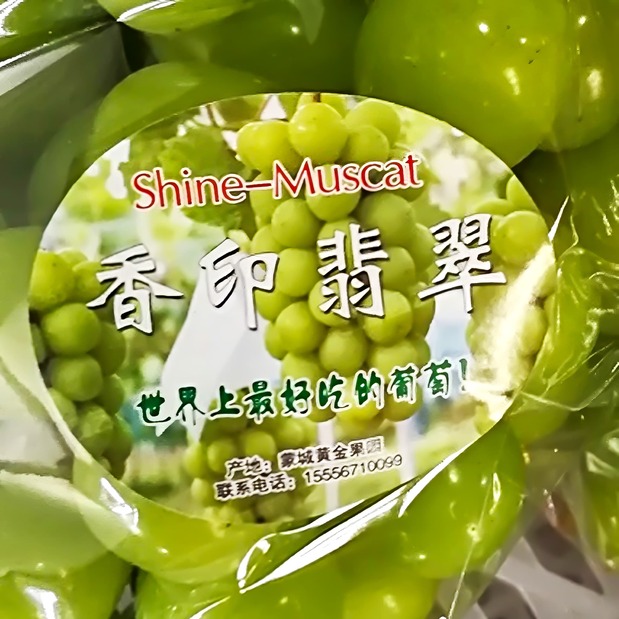 Uvas shine muscat, una variedad de lujo en Japón, cultivadas en China. Ministerio de Agricultura, Silvicultura y Pesca. (Jiji)