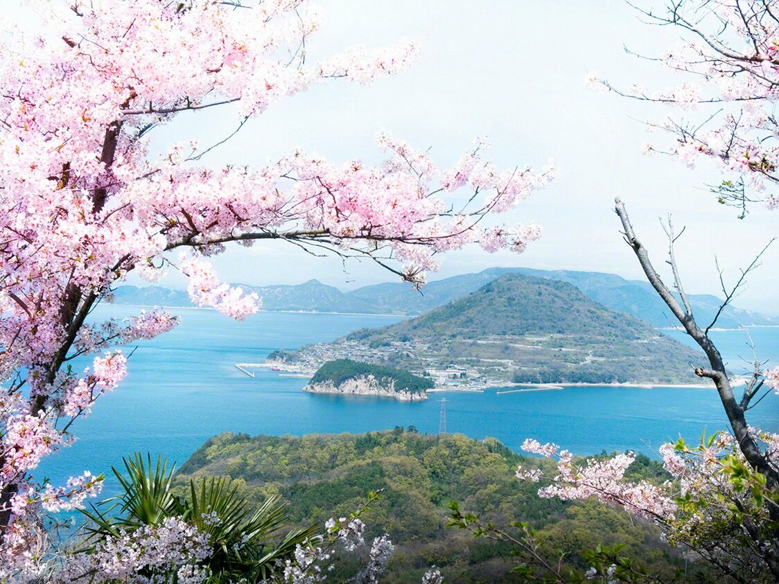 満開の桜越しに望む男木（おぎ）島全景（女木島より）