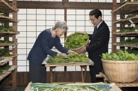 Императорский дом Японии в статьях nippon.com