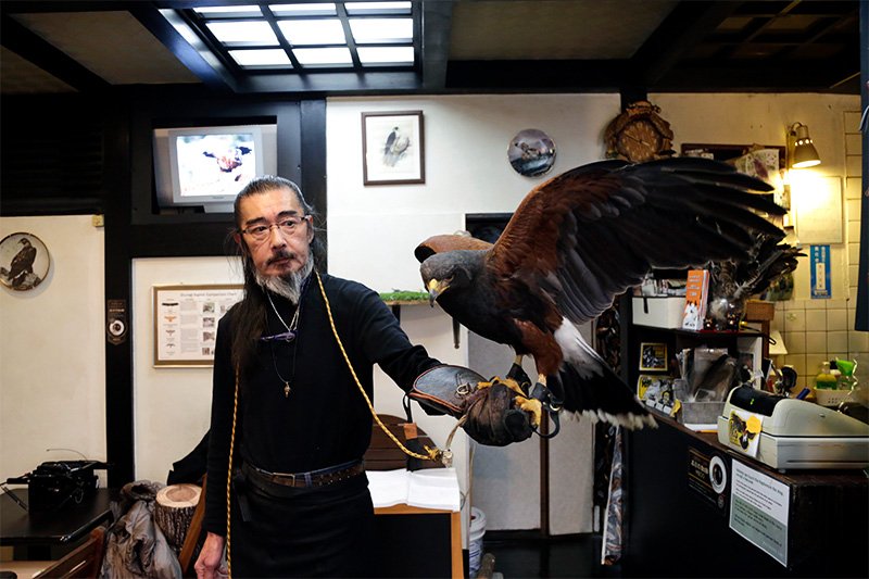 老板佐佐木熏是有近50年经验的老驯鹰师。“我们恭候那些喜欢猛禽的人，或是想要饲养猛禽的人前来光顾”