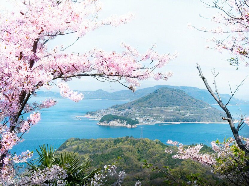 満開の桜越しに望む男木（おぎ）島全景（女木島より）