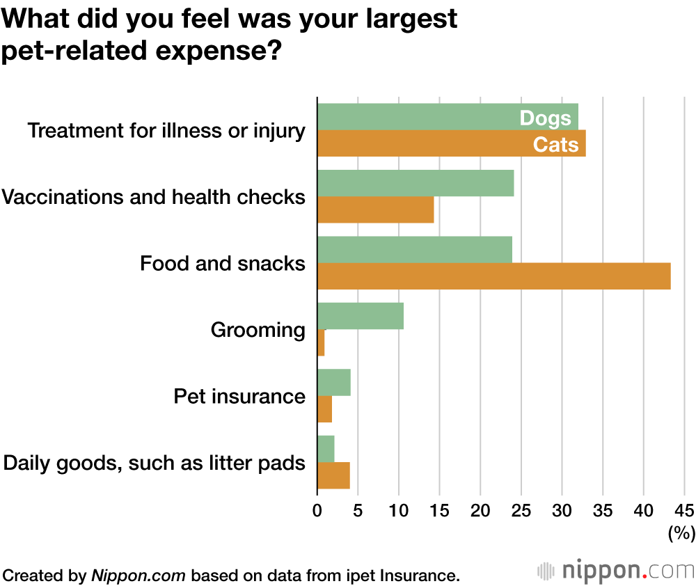 Japanese Pet Owners Spend More on Dogs and Cats in 2021