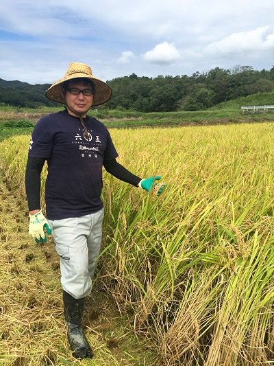 台中65号の水田、2018年（筆者提供）