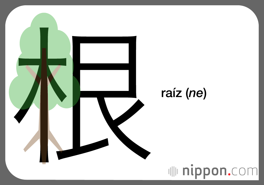 raíz (ne)