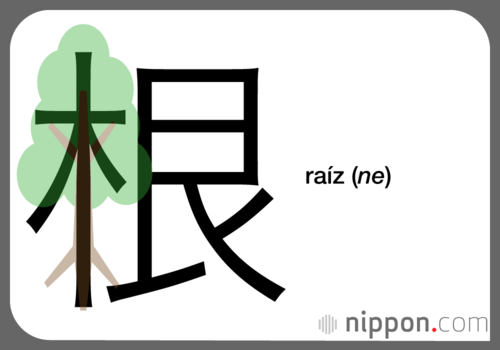 raíz (ne)